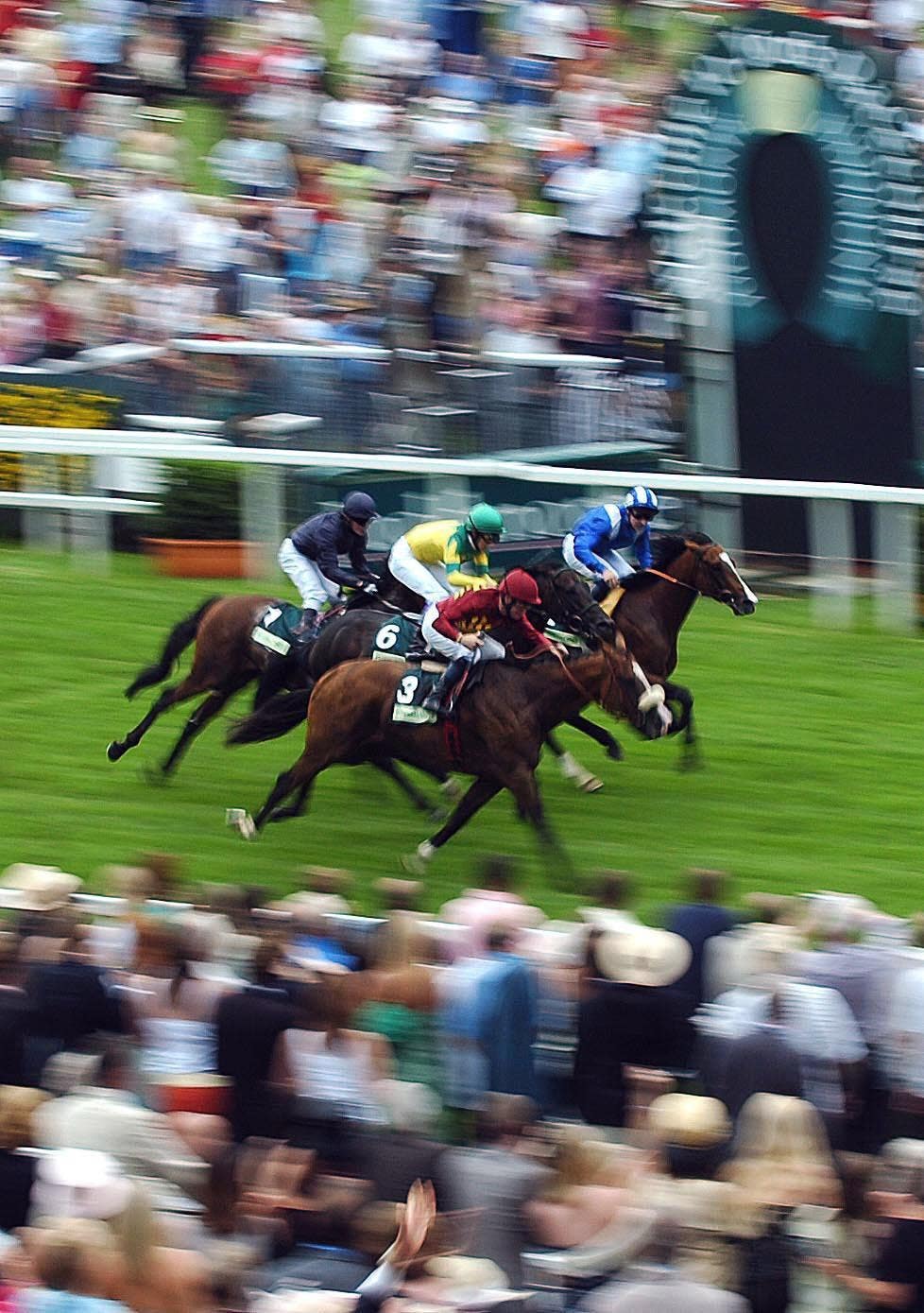 Electrocutionist winning at York
